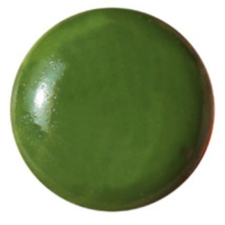 PIGMENTO PORCELANA S/P Nº2011 VERDE OLIVA