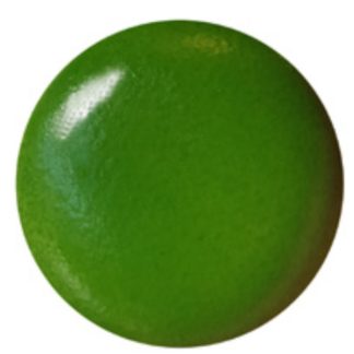 PIGMENTO SCHJERNING S/P 2006 VERDE JAUNE