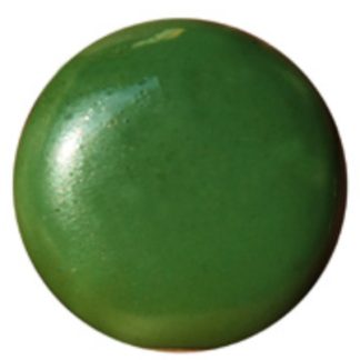 PIGMENTO SCHJERNING S/P Nº2025 VERDE CAMPO