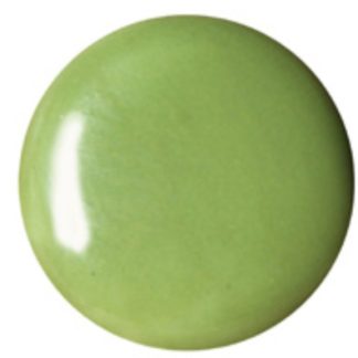 PIGMENTO SCHJERNING S/P Nº2062 VERDE PRINTANIER