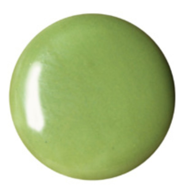 PIGMENTO SCHJERNING S/P Nº2062 VERDE PRINTANIER
